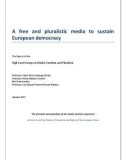 A free and pluralistic media to sustain Europeandemocracy